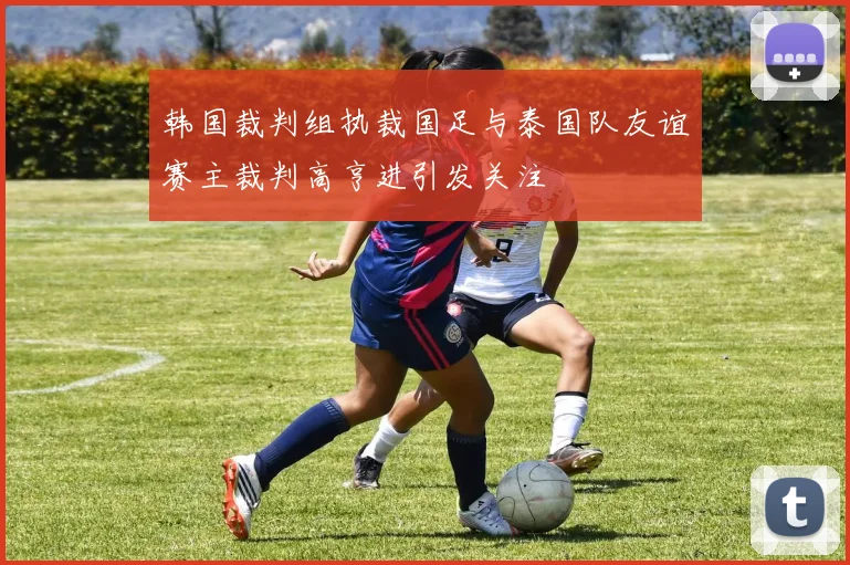 韩国裁判组执裁国足与泰国队友谊赛主裁判高亨进引发关注